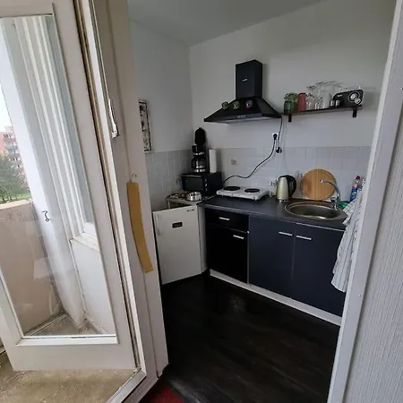Im Harz, Hunde Apartamento