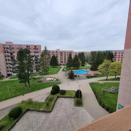 Im Harz, Hunde Apartamento