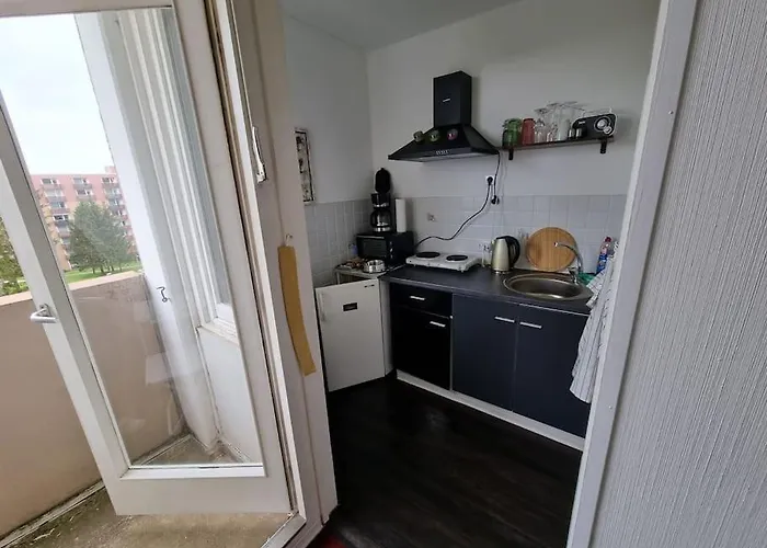 Im Harz, Hunde Apartamento