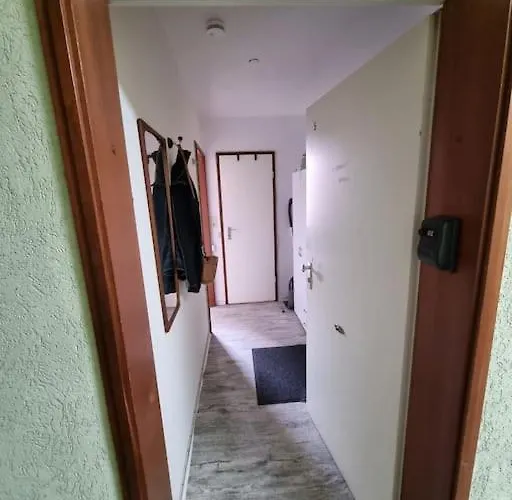 Im Harz, Hunde Apartamento